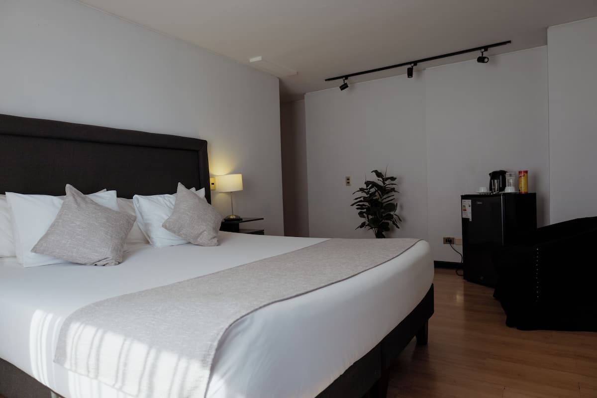 Minibar, in-room safe, iron/ironing board, WiFi (free)
