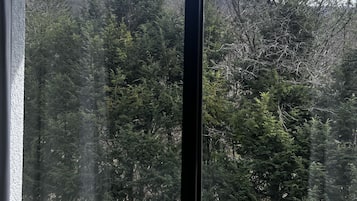 Vista a la montaña
