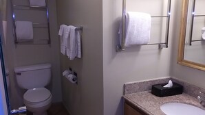Combined shower/tub, free toiletries, hair dryer, towels