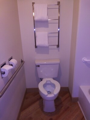 Badkar/dusch, gratis toalettartiklar, hårtork och handdukar