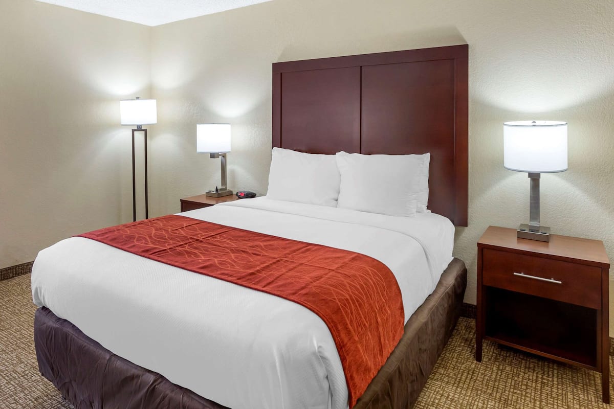 Una habitación de hotel con una cama grande, dos mesitas de noche y dos lámparas.