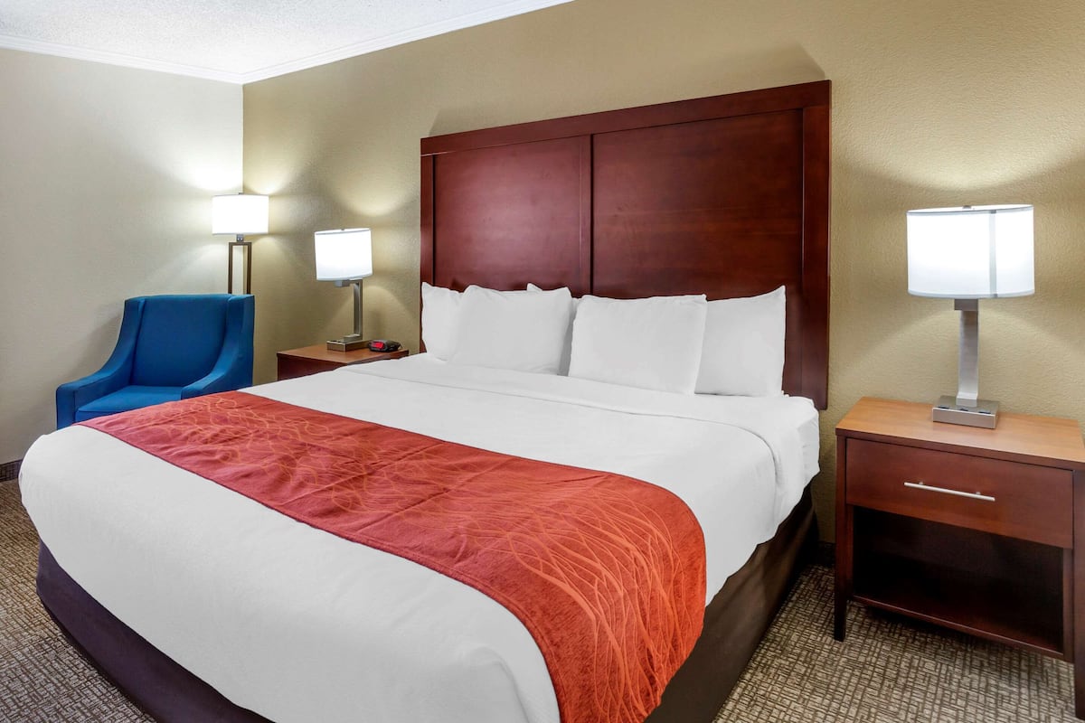 Habitación de hotel con una cama grande, cabecera de madera, dos mesitas de noche con lámparas, una silla azul y una alfombra estampada.