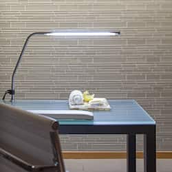 Behandelingskamers voor koppels, een sauna, een stoombad