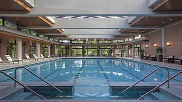 Indoor pool, sun loungers