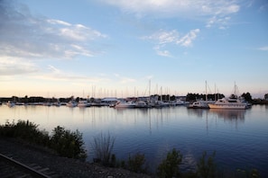 Järvi