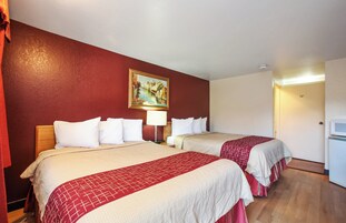 Escritorio, wifi gratis, despertador y ropa de cama 