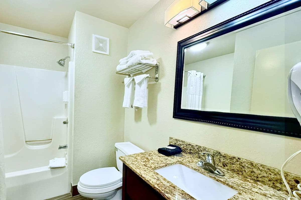 Un baño con bañera, inodoro, lavabo y un espejo grande.