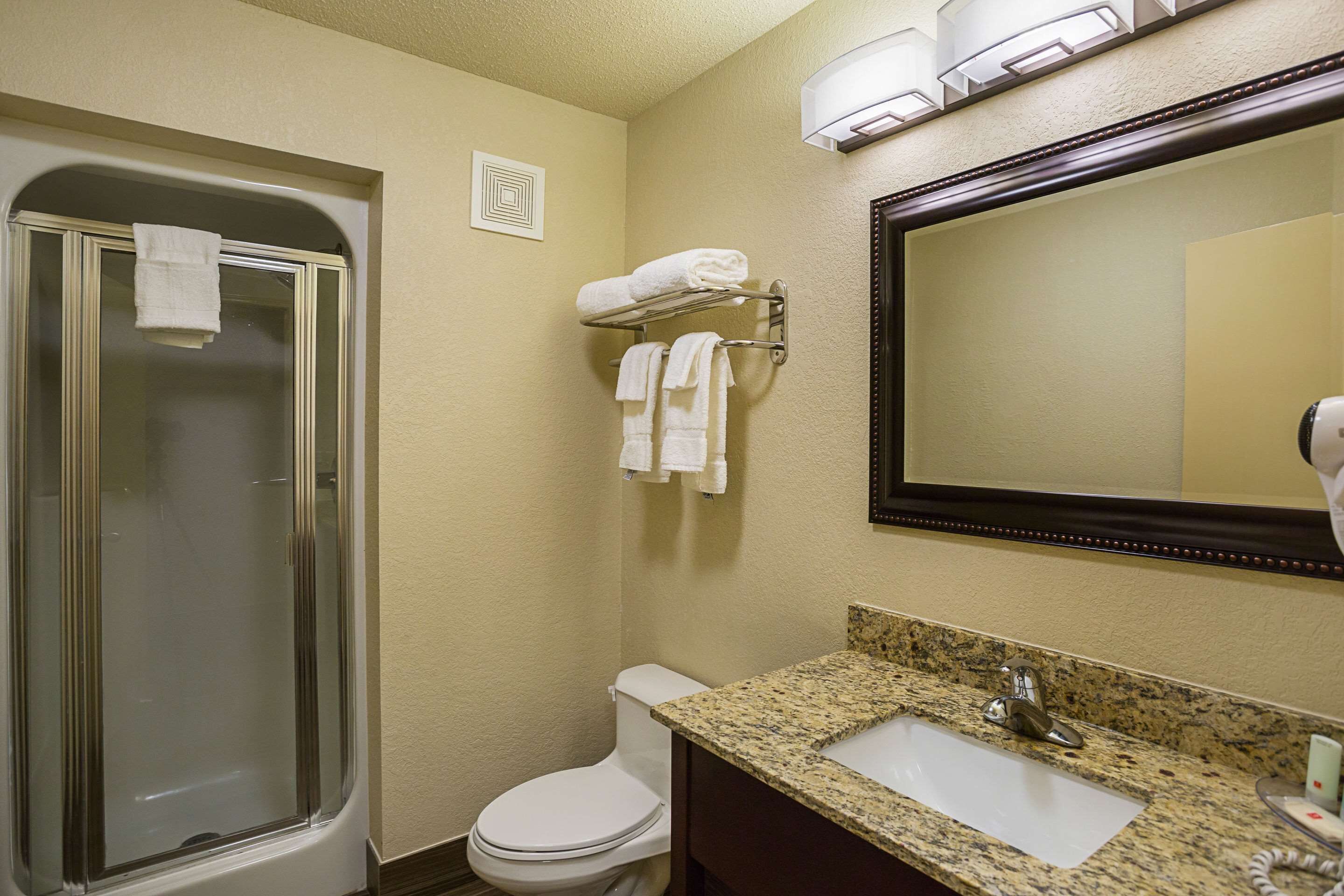 A bathroom with a glass-enclosed shower, a toilet, a sink with a granite countertop, and a mirror above the sink.