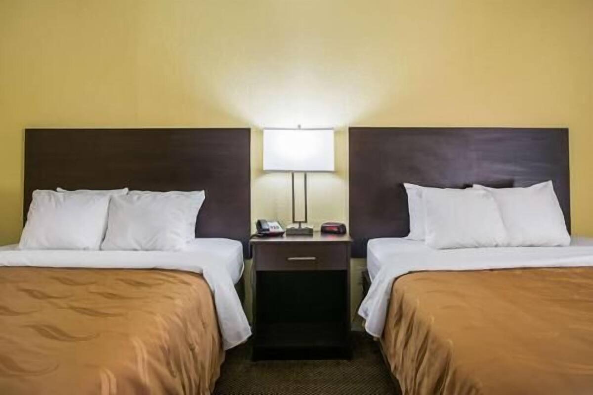 Habitació d'hotel amb dos llits, una tauleta de nit, una làmpada i un telèfon.