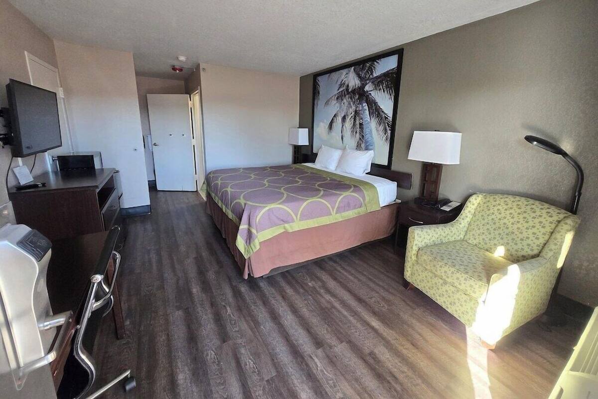 A hotel room with a bed, a desk with a computer, a chair, a TV, and a painting of a palm tree.