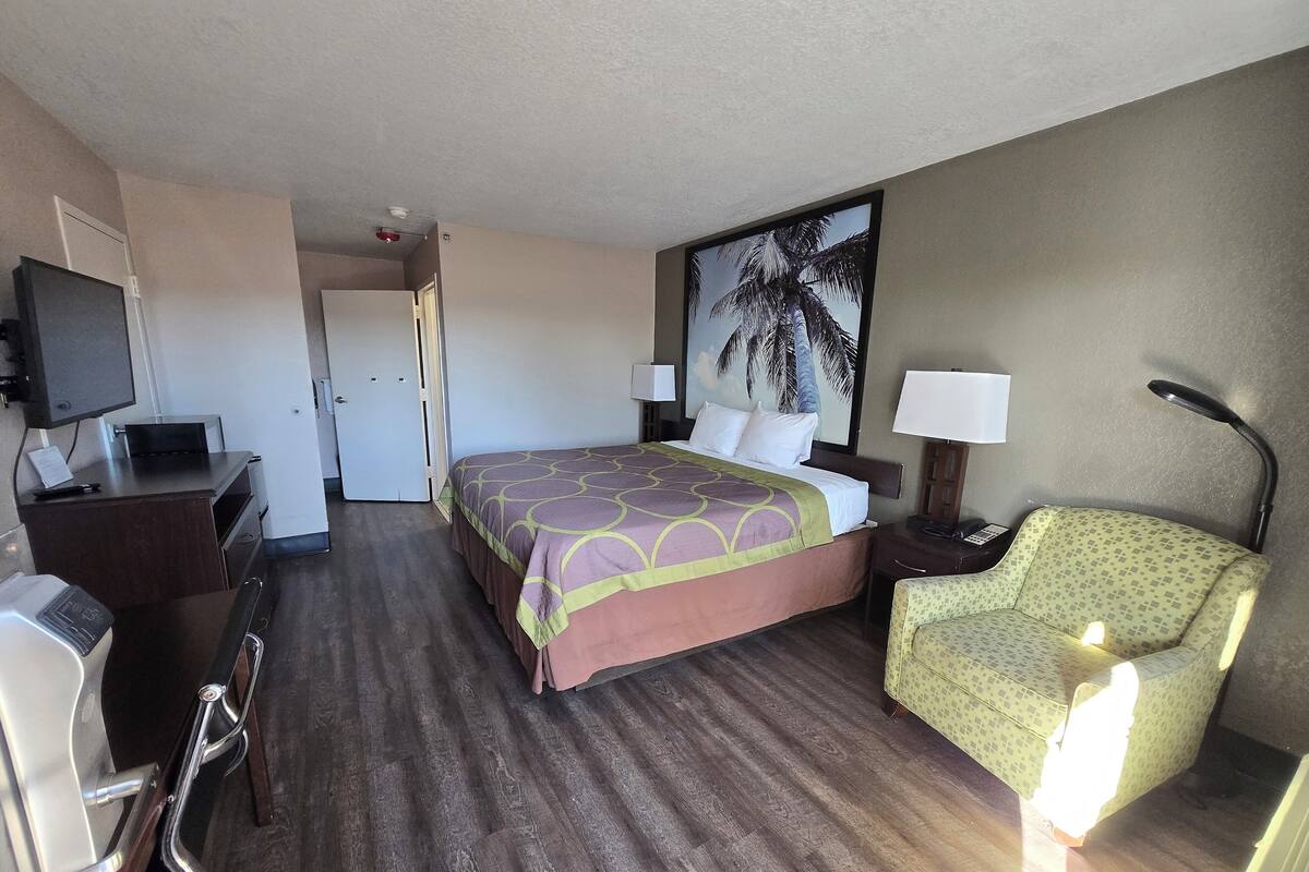 A hotel room with a bed, a desk, a chair, a television, and a painting of a palm tree.