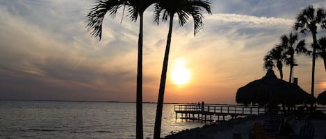 Beach nearby, beach volleyball, fishing