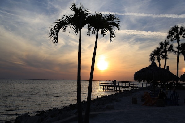 Beach nearby, beach volleyball, fishing