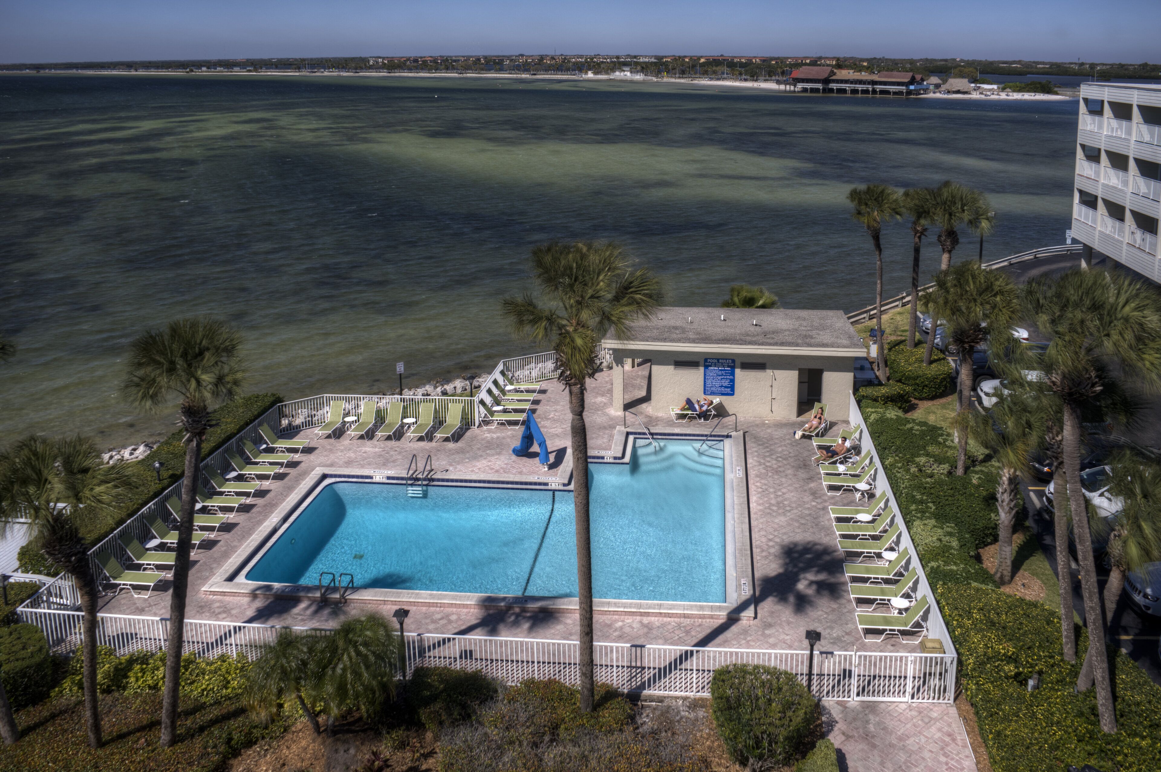 A swimming pool with lounge chairs, surrounded by palm trees and a view of the ocean.
