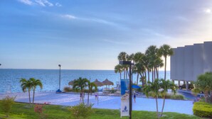 Vista frente al mar con cielo despejado, palmeras y una masa de agua.
