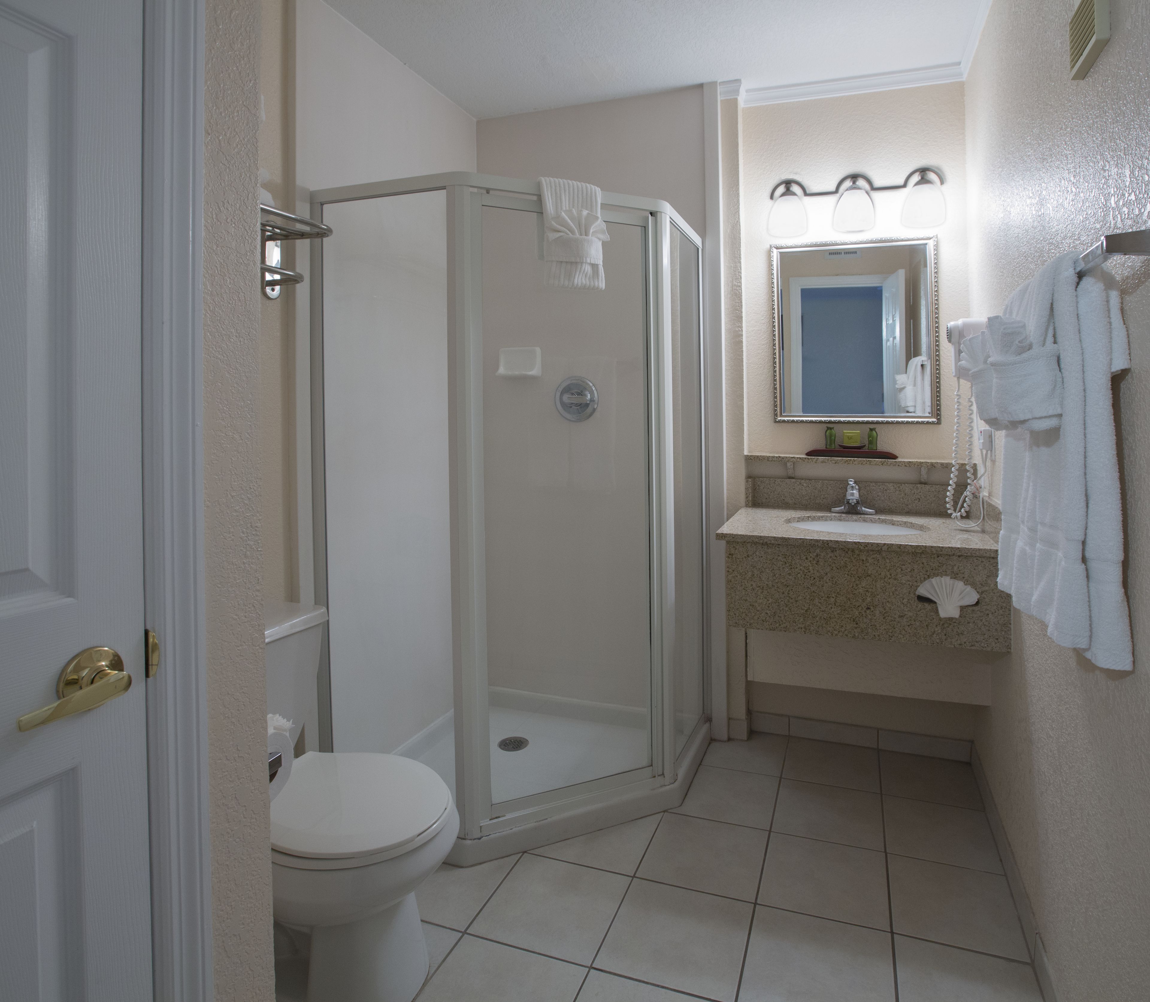 A bathroom with a glass-enclosed shower, a toilet, a sink with a vanity, and a mirror above the sink.