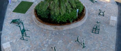 Un espacio al aire libre circular con equipo de ejercicios, una palmera y un sendero pavimentado.