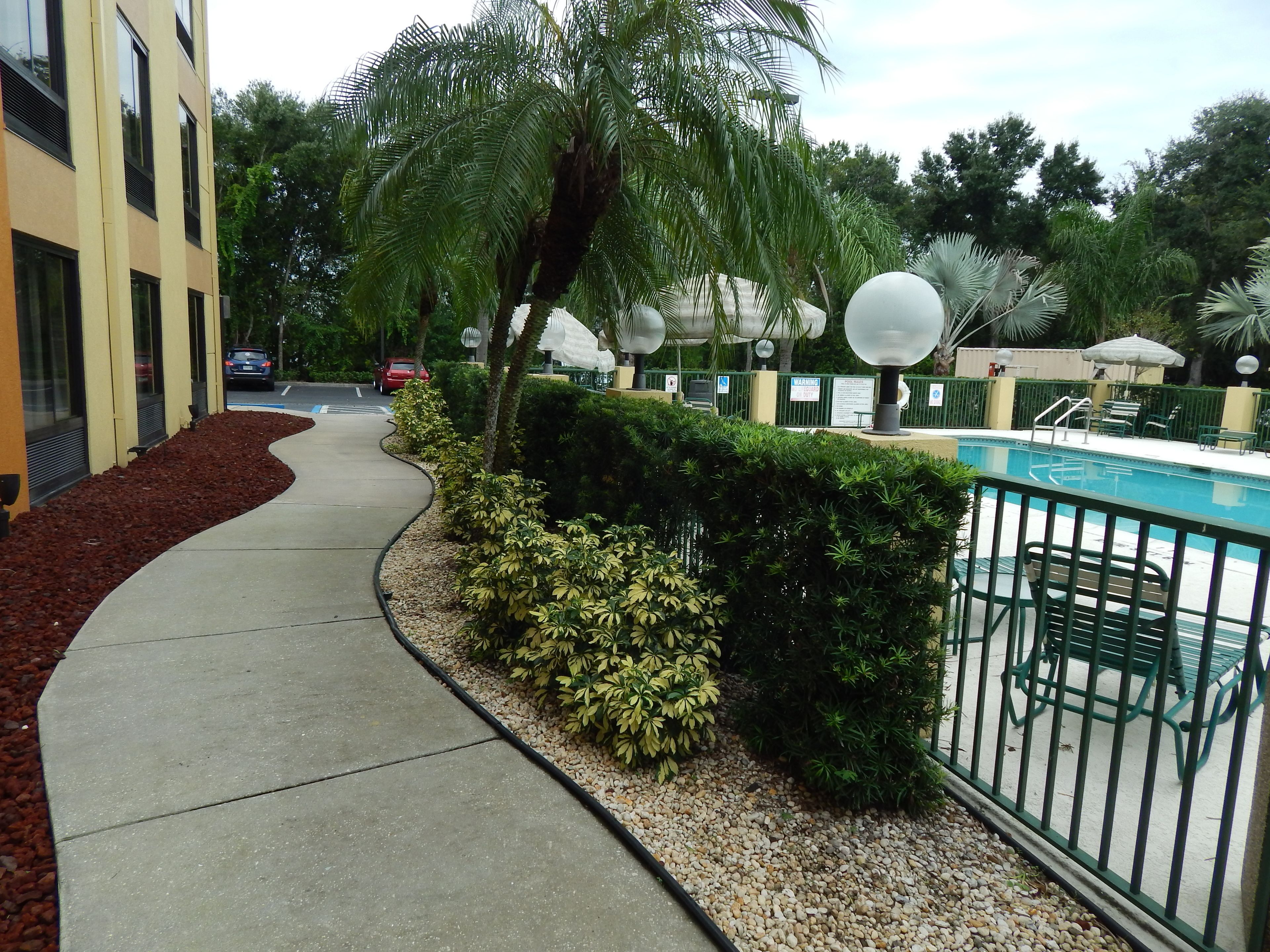 Photo - Comfort Suites Tampa - Brandon