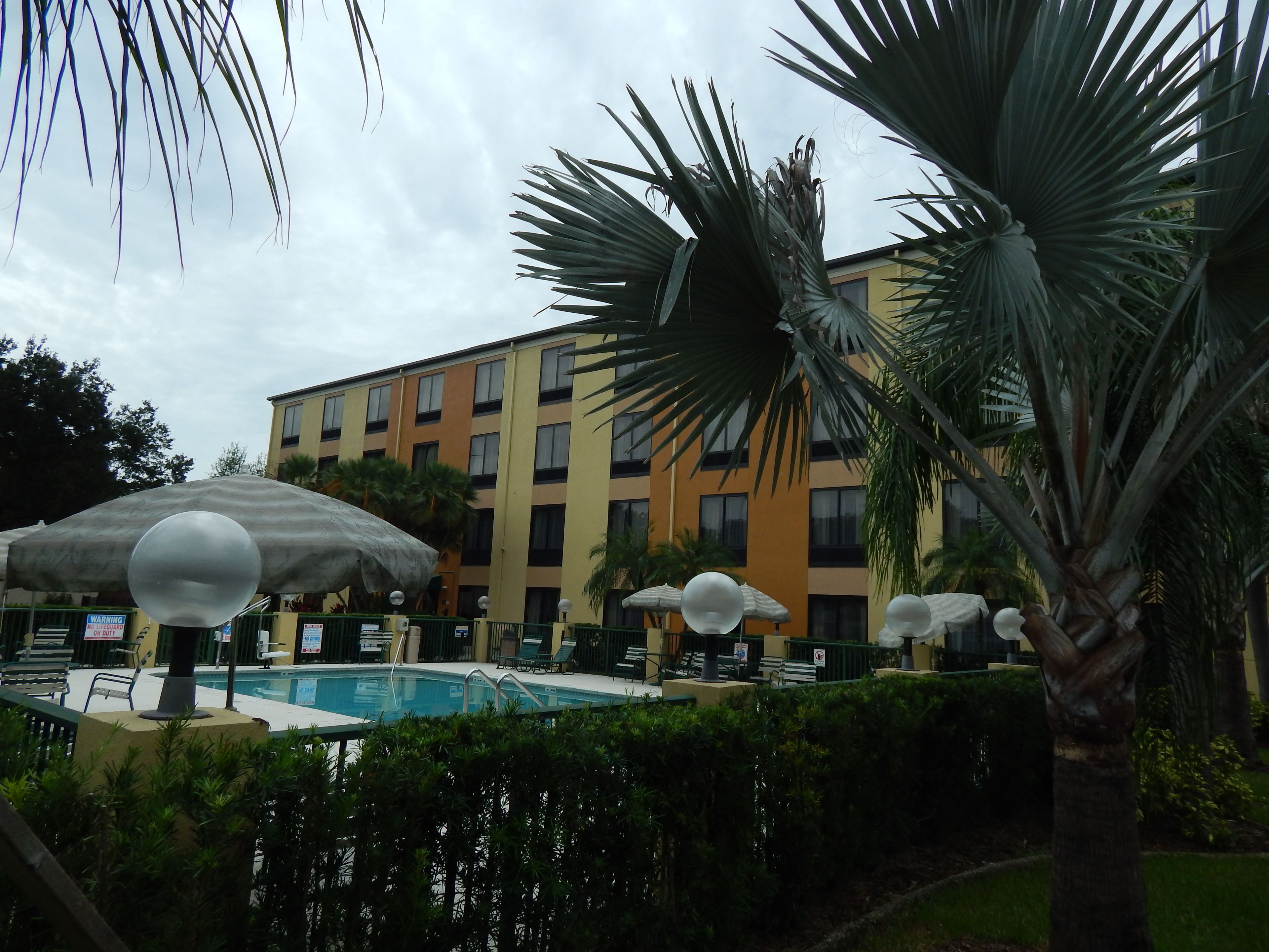 outdoor pool, open 9:00 am to 9:00 pm, pool umbrellas, pool loungers