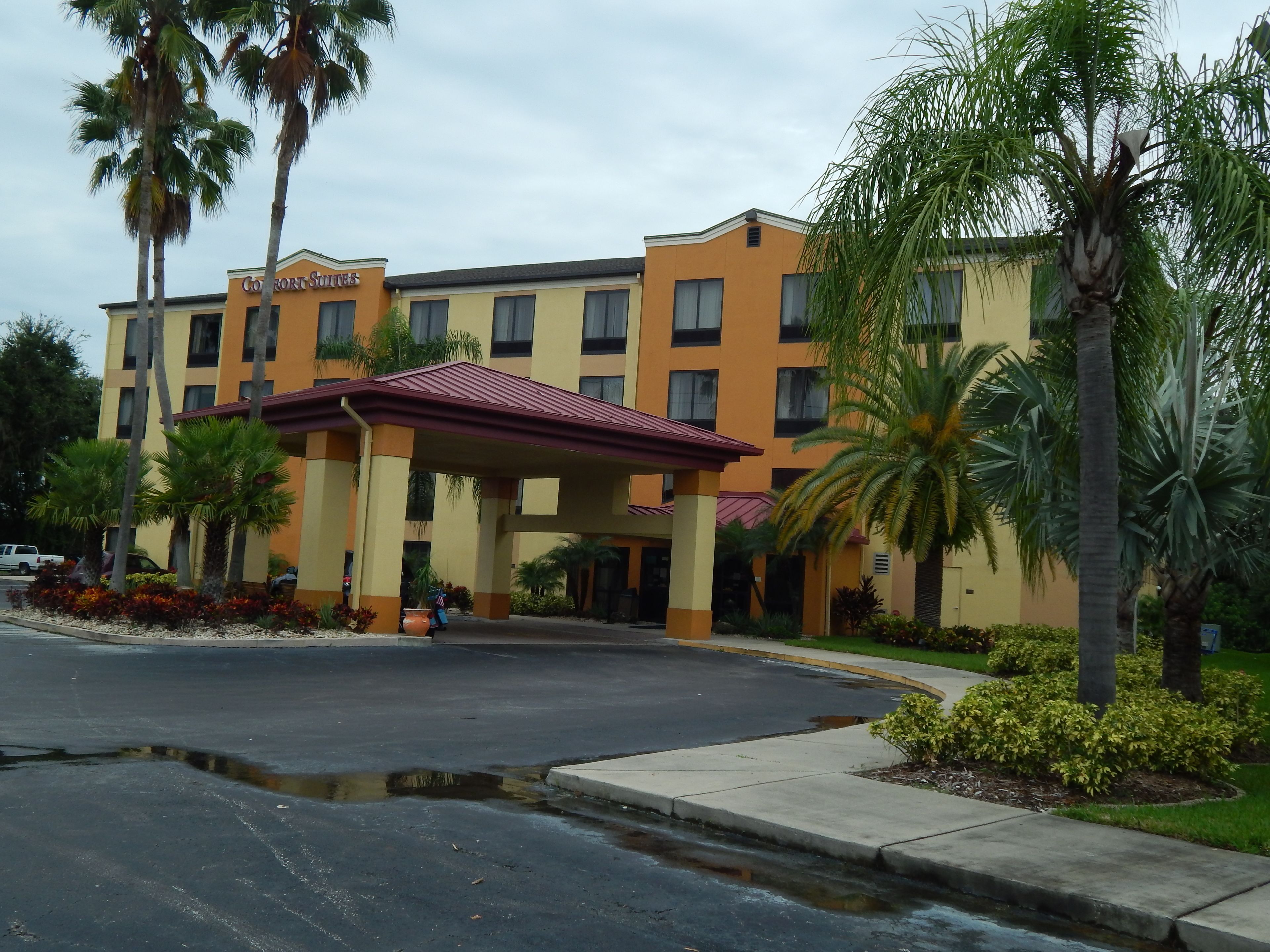 Photo - Comfort Suites Tampa - Brandon