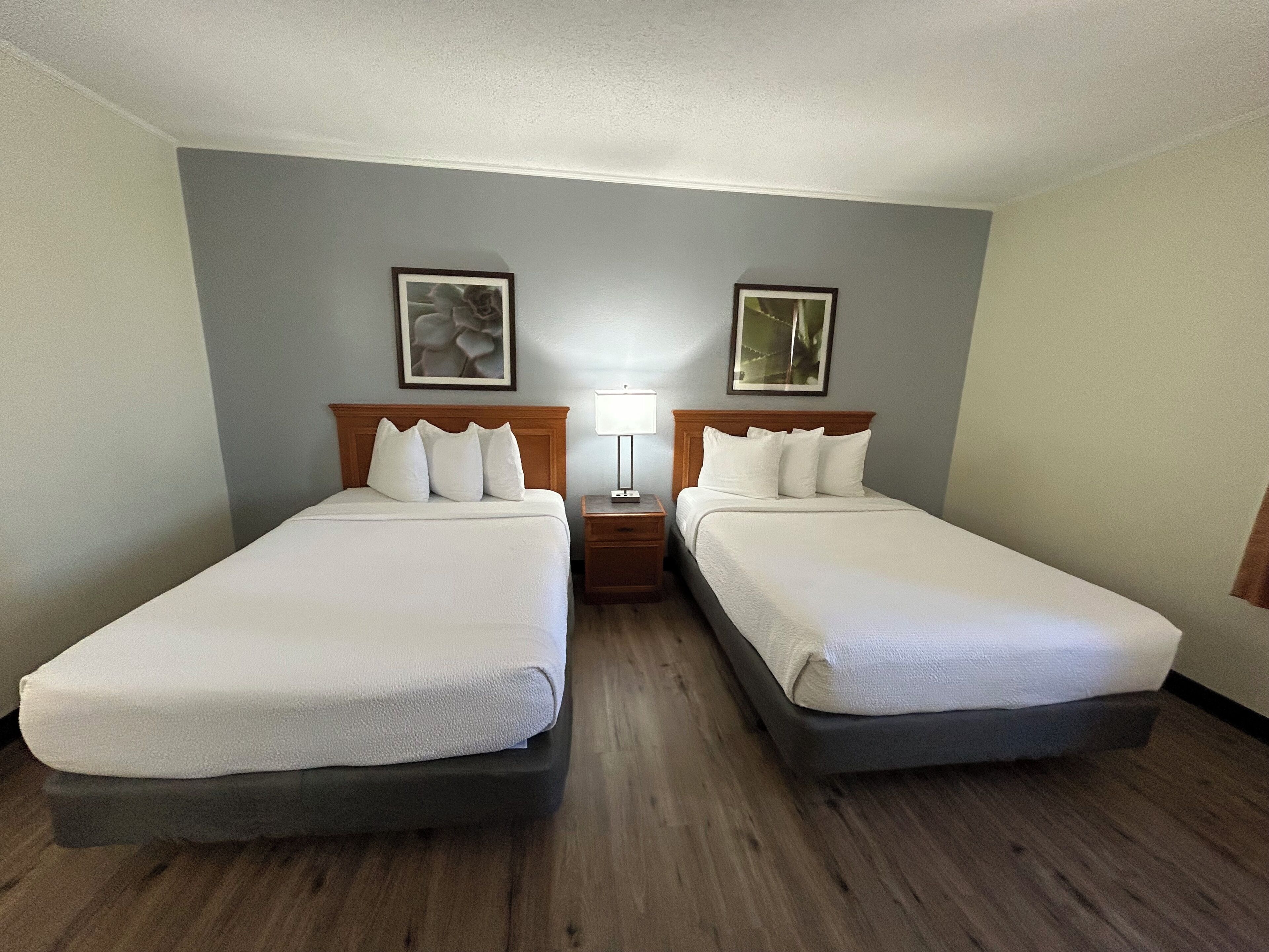 Habitación de hotel con dos camas individuales, una mesita de noche con lámpara y dos cuadros enmarcados en la pared.