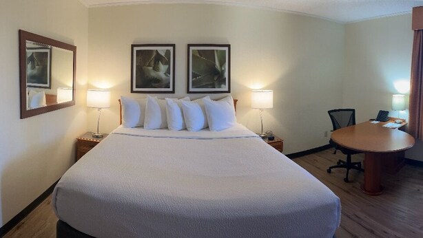 A hotel room with a large bed, a desk, a chair, a TV, and a dresser. - La Quinta Inn & Suites by Wyndham Tampa Brandon West (Tampa)