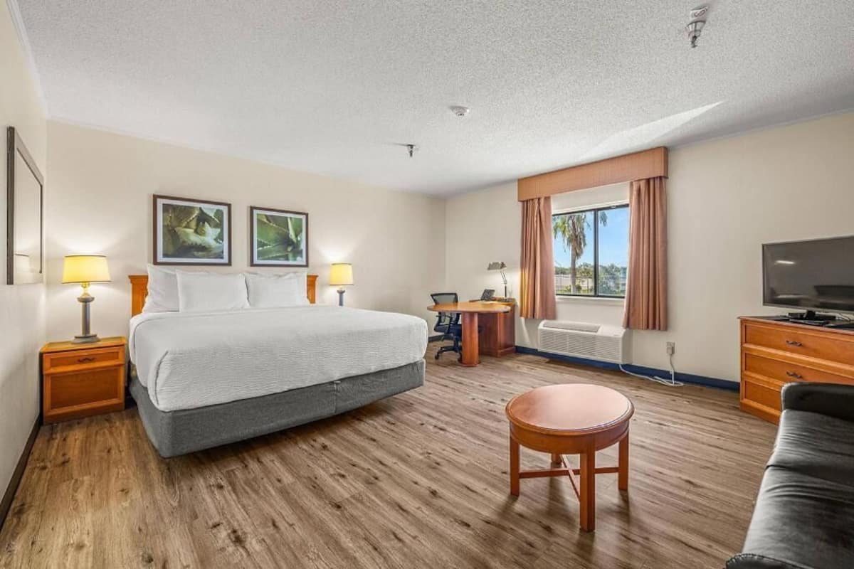 A hotel room with a bed, a desk, a chair, a TV, and a window with curtains.