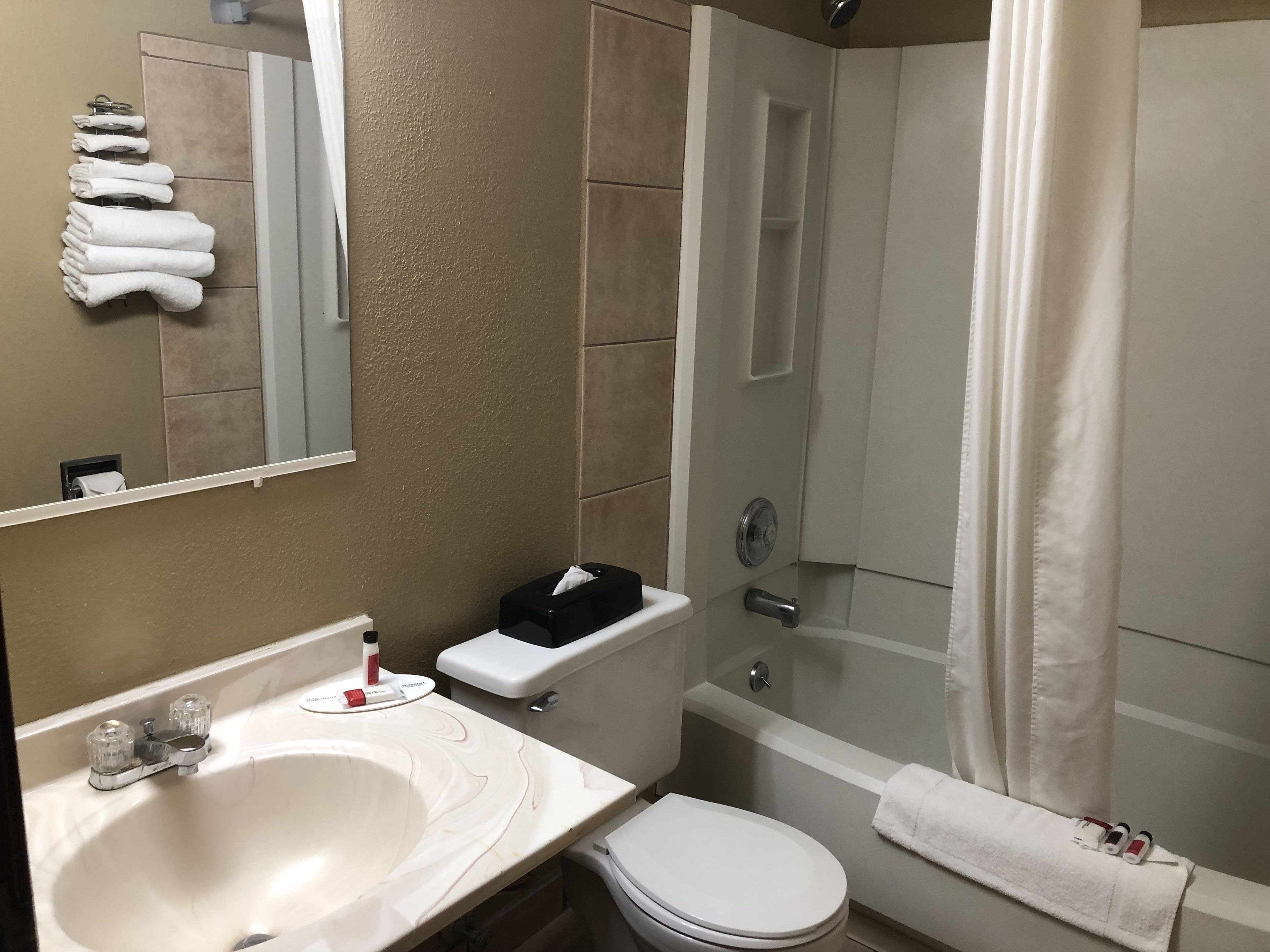 A bathroom with a sink, toilet, and shower. There are towels hanging on the wall and a tissue box on the sink.
