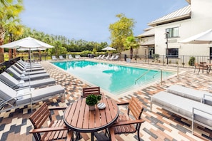 Outdoor pool, sun loungers