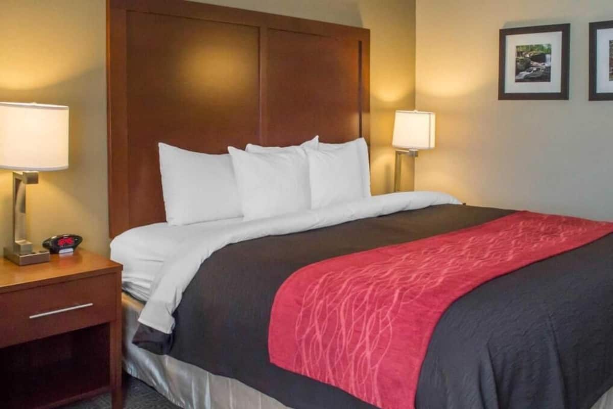 Premium bedding, desk, blackout drapes, iron/ironing board