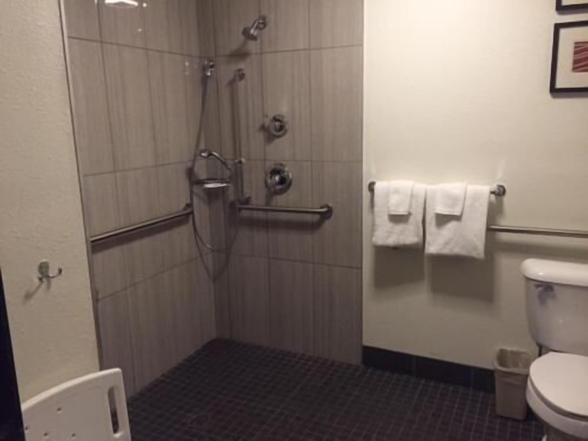 Bathroom | Combined shower/tub, free toiletries, hair dryer, towels