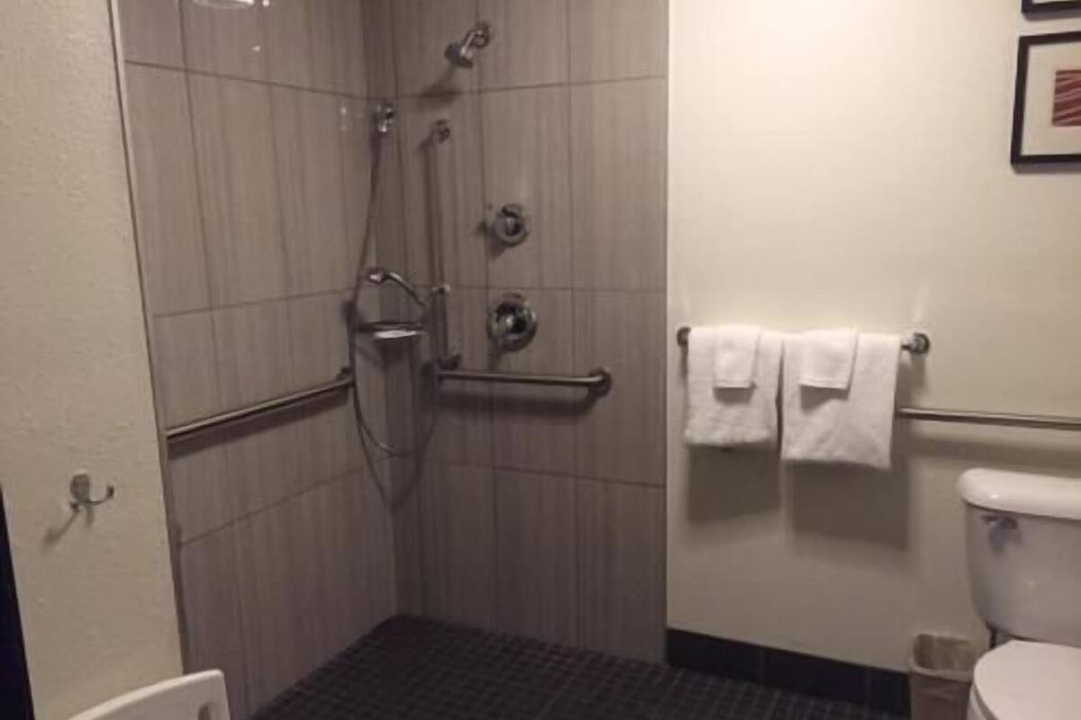 Baño con ducha, inodoro y barra para toallas.