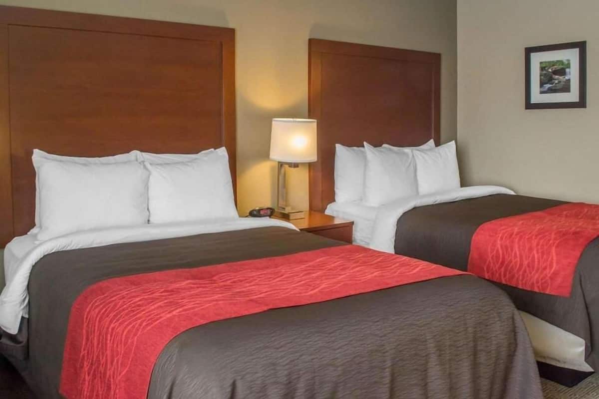 Premium bedding, desk, blackout drapes, iron/ironing board