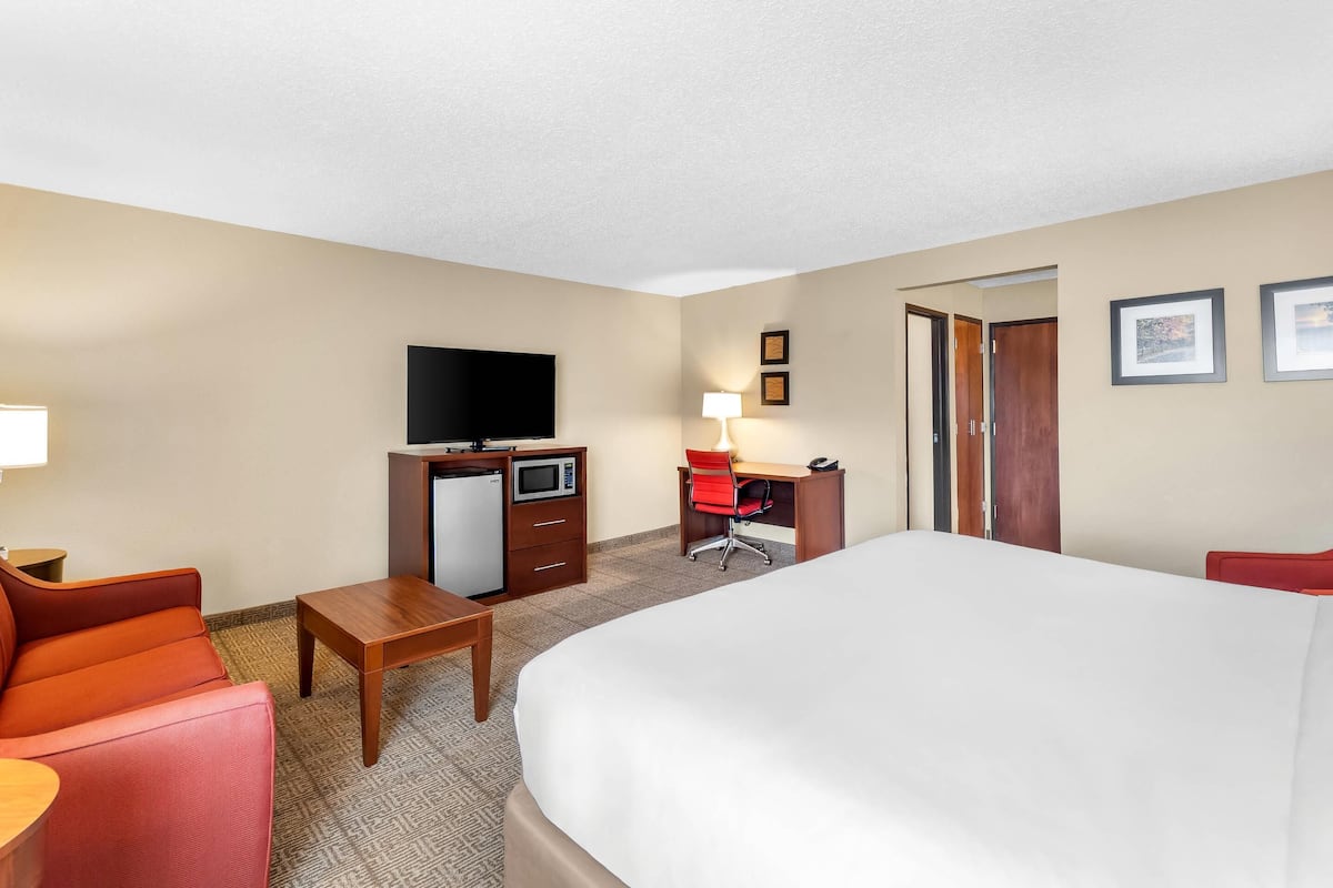 Suite, 1 King Bed with Sofa bed, Non Smoking