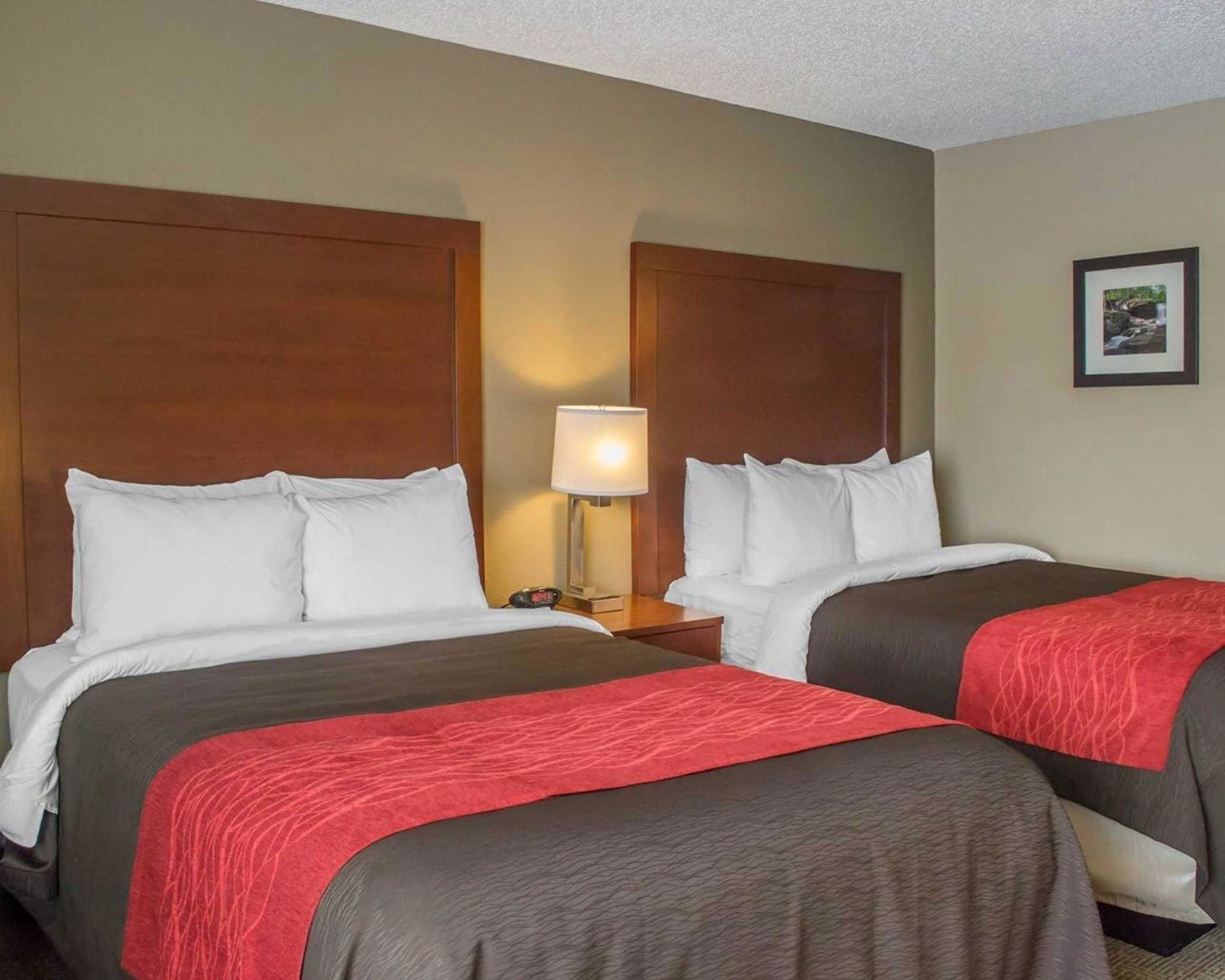 Premium bedding, desk, blackout drapes, iron/ironing board