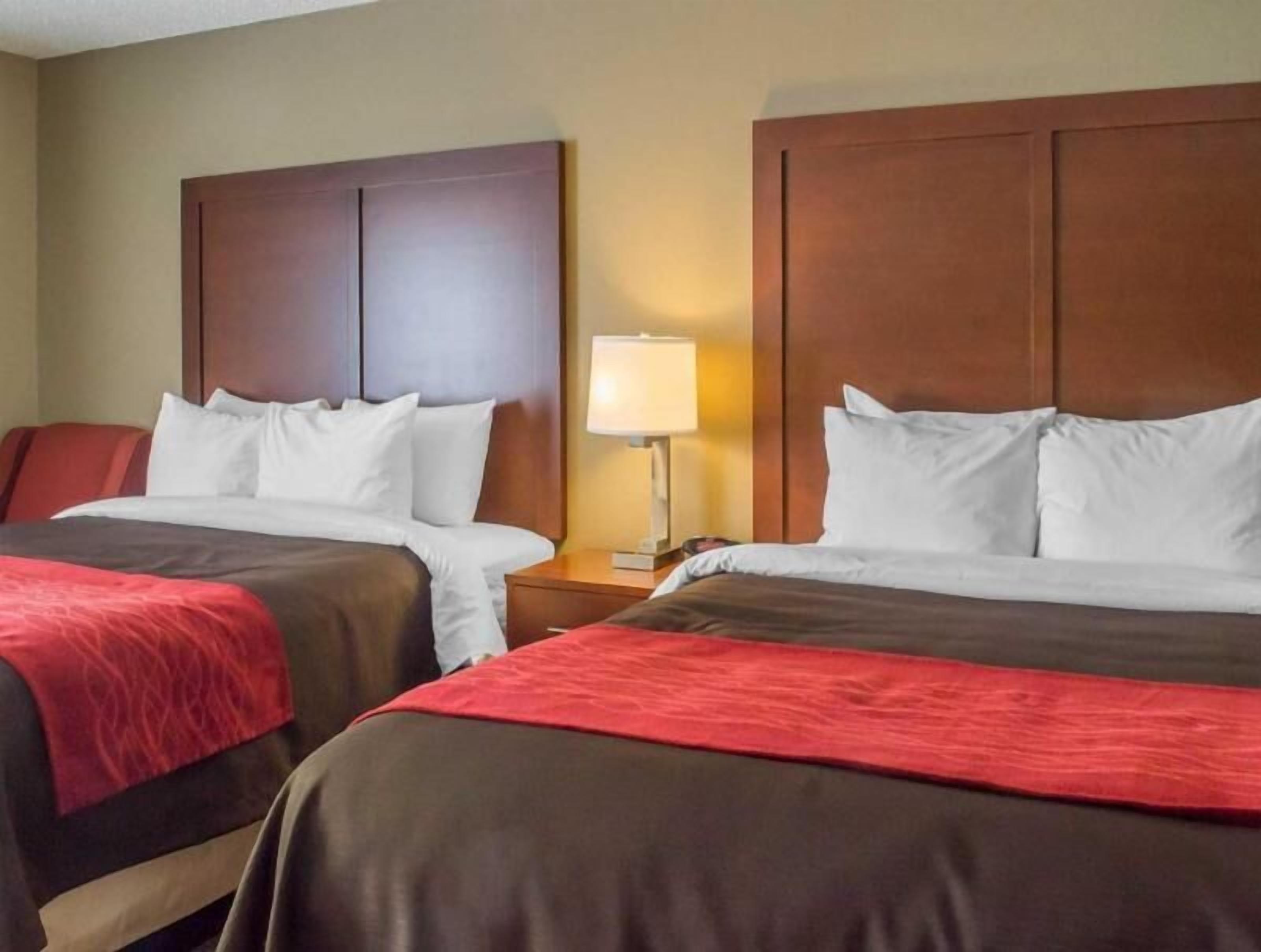 Premium bedding, desk, blackout drapes, iron/ironing board