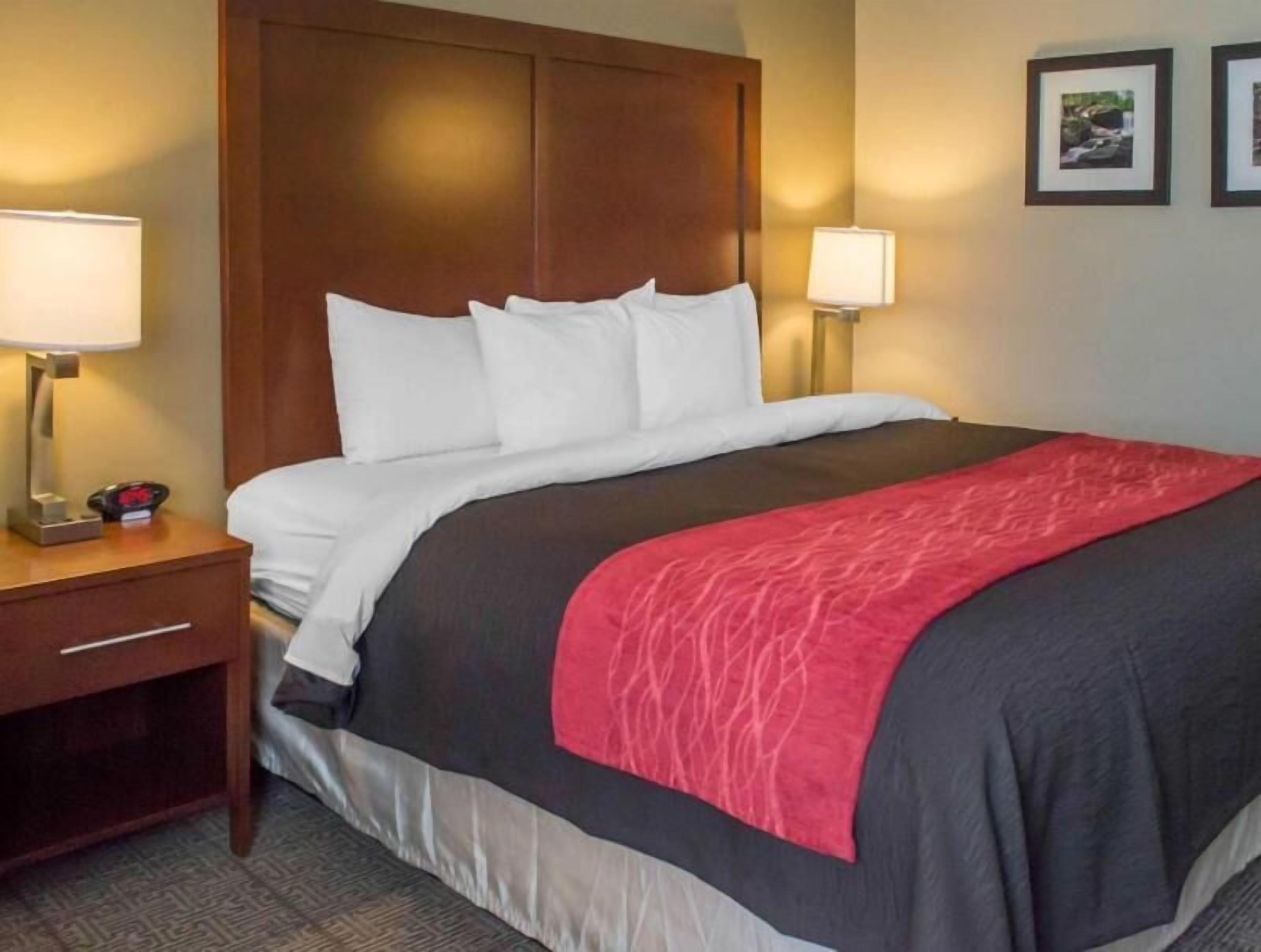 Premium bedding, desk, blackout drapes, iron/ironing board