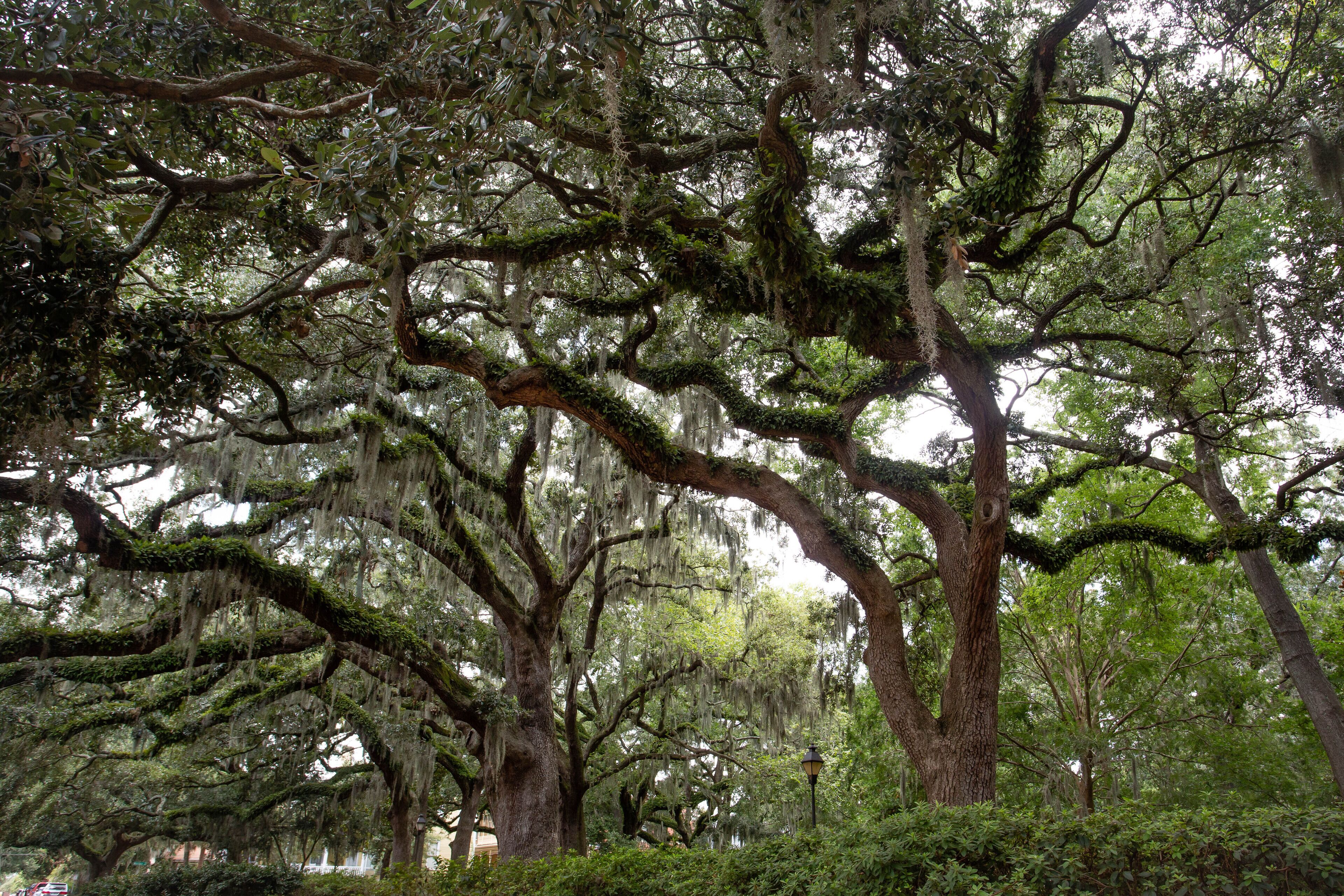 Photo - Eliza Thompson House, Historic Inns of Savannah Collection