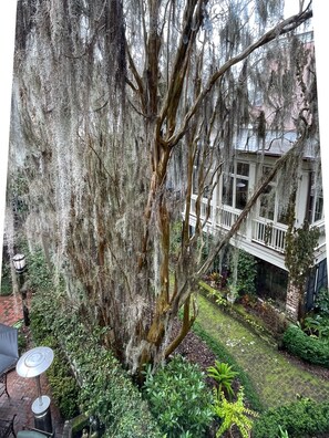 Luxury Main House Queen - J. Stephens Room  | Courtyard view