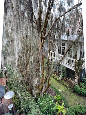 Courtyard view