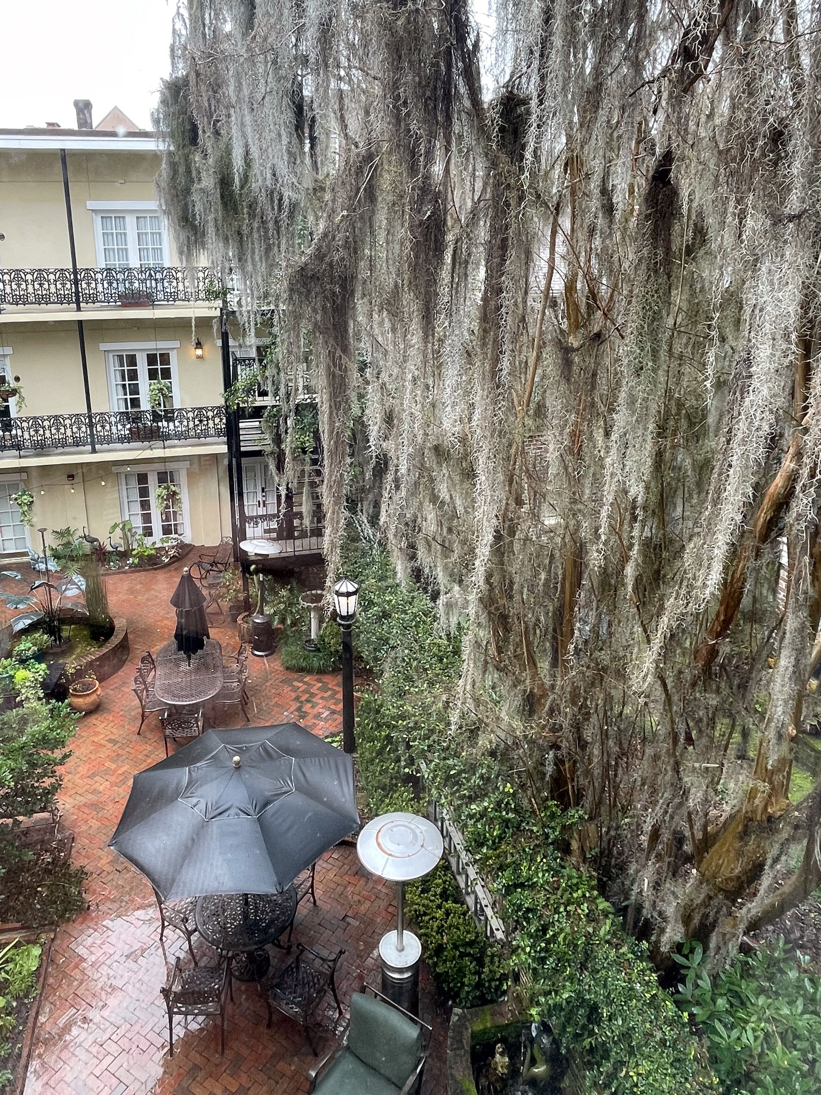 Luxury Main House Queen - J. Stephens Room  | Courtyard view