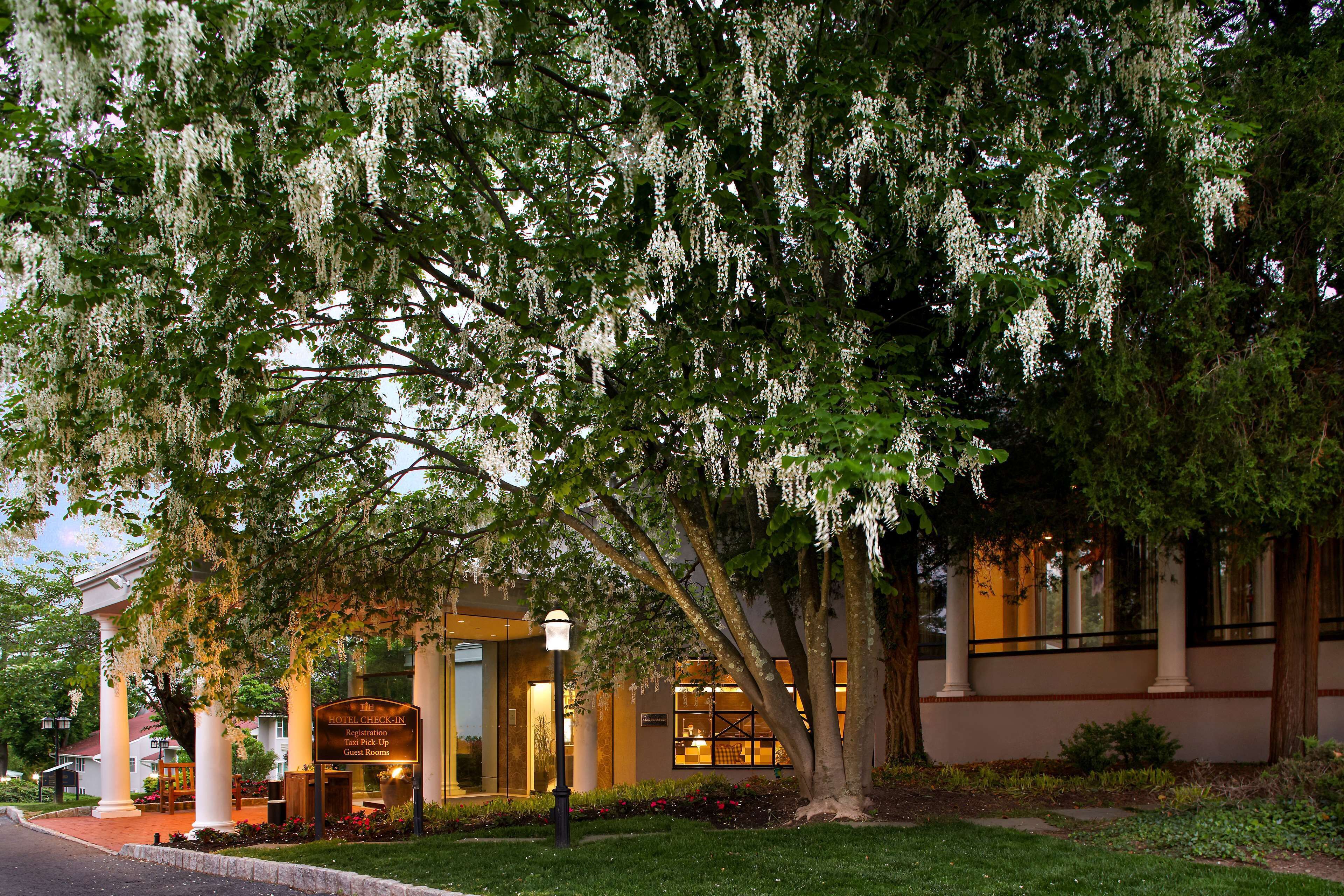 A hotel with a sign indicating guest rooms, a well-maintained lawn, and a large tree with hanging white flowers.