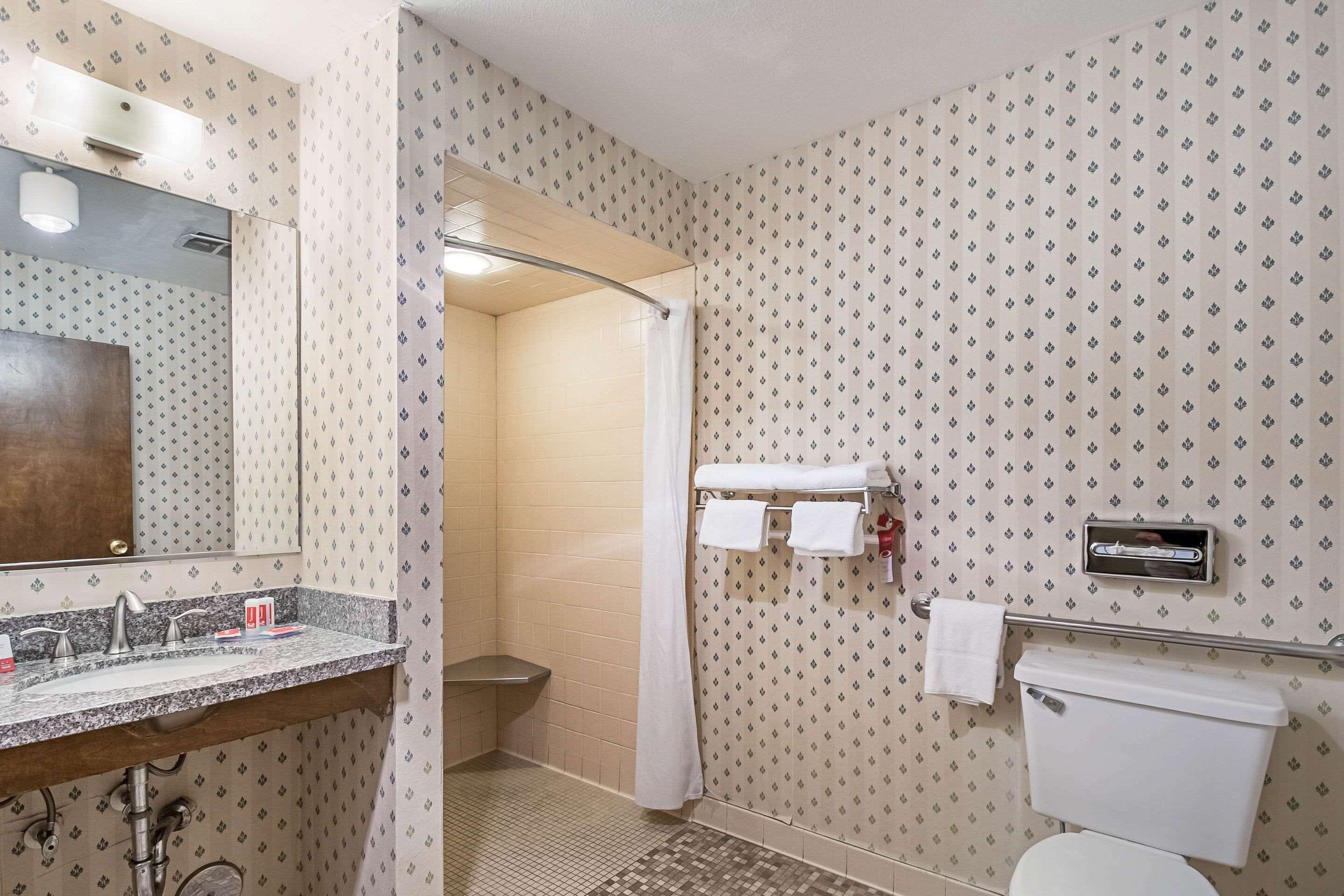 Un baño con lavamanos, espejo, ducha, inodoro y toallero.