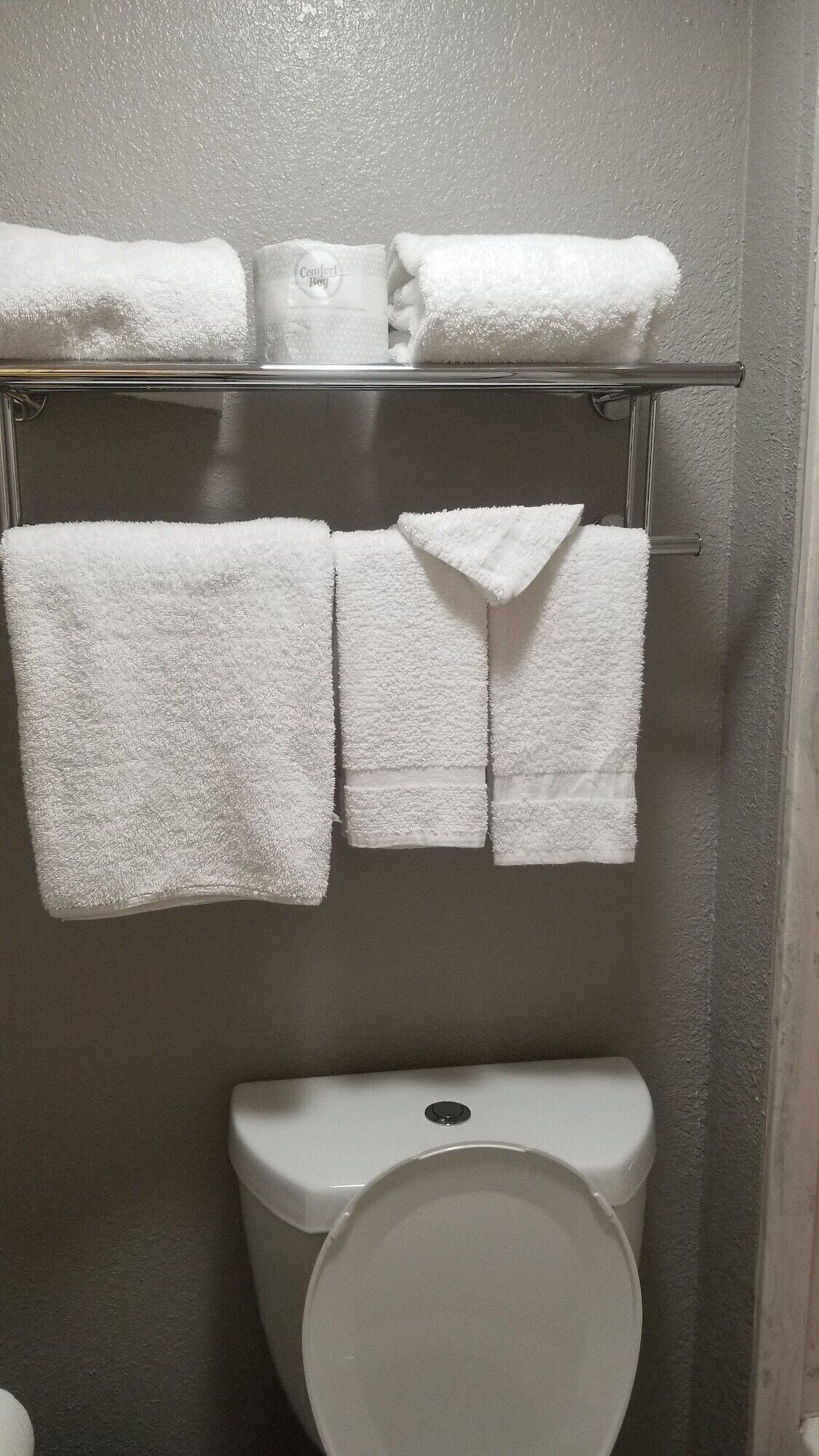Een badkamer met een toilet, een handdoekhouder met meerdere witte handdoeken en een glazen plank boven het toilet.