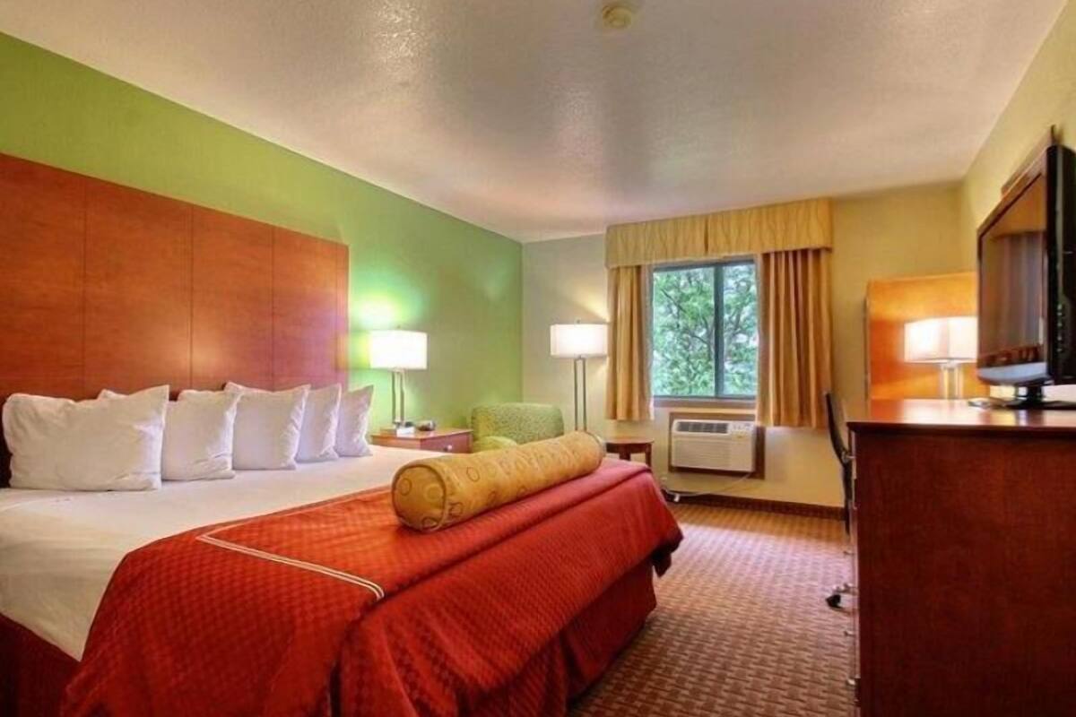A hotel room with a bed, a desk, a chair, a lamp, and a window with curtains.