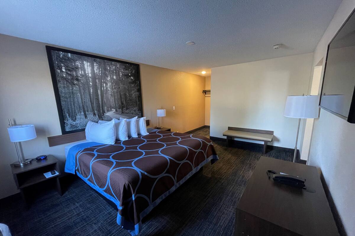 Une chambre d’hôtel avec un grand lit, deux tables de chevet, un bureau, un banc et une grande fenêtre donnant sur la forêt.