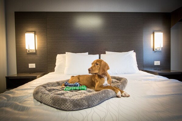 Pet-friendly