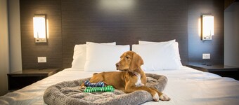 Envi Boutique Hotel Henderson-Evansville South