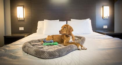 Envi Boutique Hotel Henderson-Evansville South