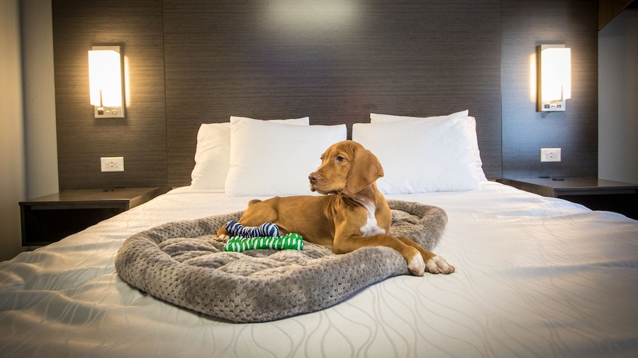 Envi Boutique Hotel Henderson-Evansville South